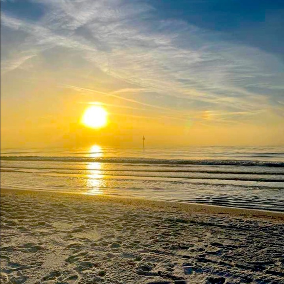 Meet your Posher, Grapes - Picture 1 of 1